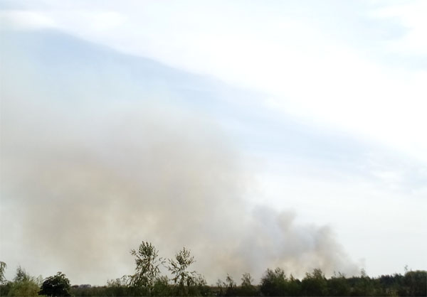 пожар Борисоглебск