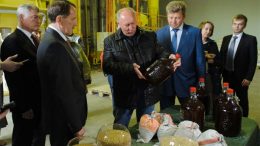 Гордеев Панино масло