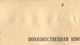 Махинации похозяйственная книга